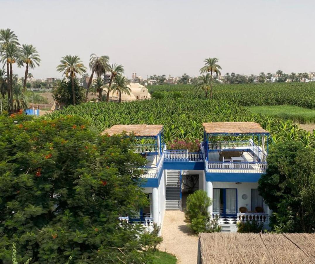 Villa Kaslan Apartments Louxor Extérieur photo