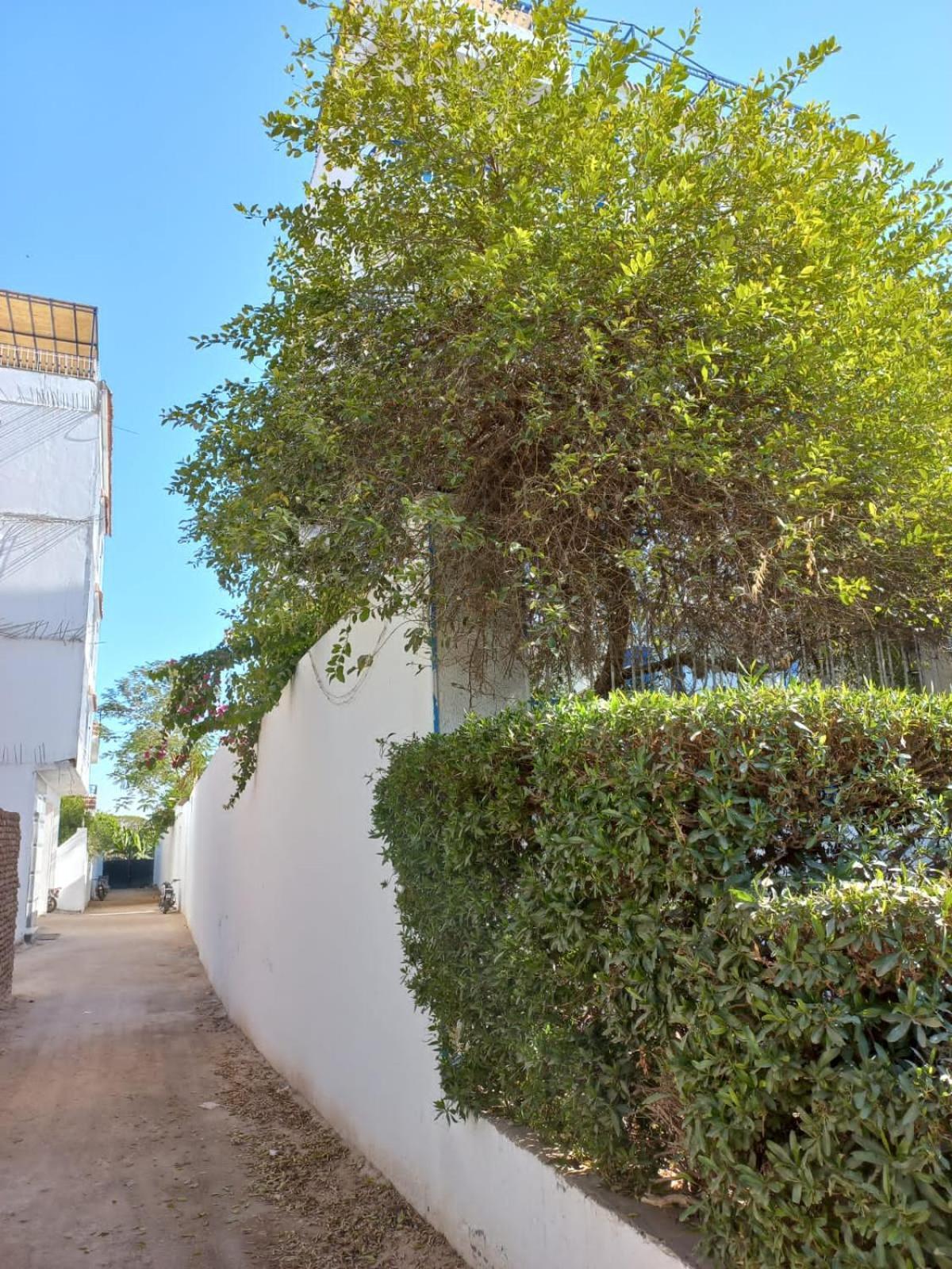 Villa Kaslan Apartments Louxor Extérieur photo